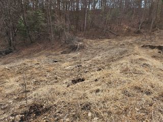 불기산님의 두릅 · 영농일지 작성글 사진