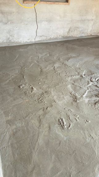 김연숙님의 기타작물 · 영농일지 작성글 사진