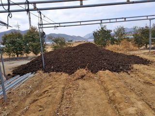 유영옥님의 기타작물 · 영농일지 작성글 사진