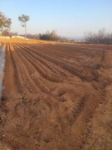 팜모닝 고추·영농일지 게시글 이미지