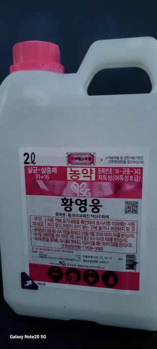 서대산향수님의 포도 · 영농일지 작성글 사진