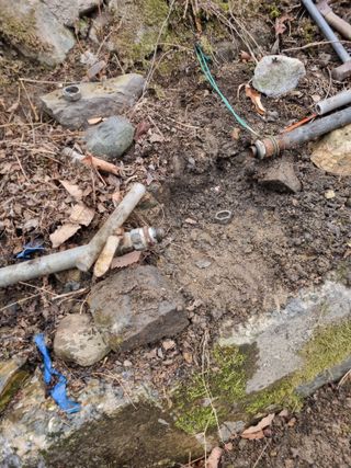 김용대님의 기타작물 · 영농일지 작성글 사진