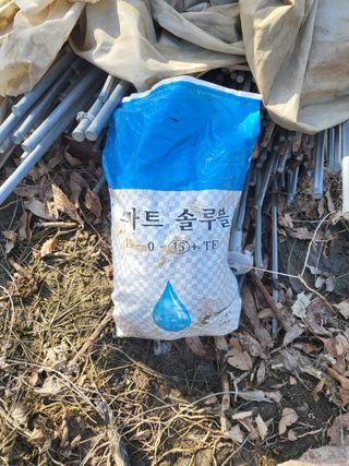 전선경님의 마늘 · 영농일지 작성글 사진