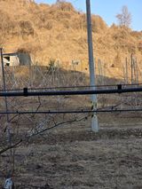 팜모닝 기타작물·영농일지 게시글 이미지