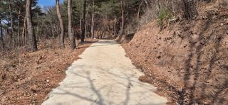 정진필님의 기타작물 · 영농일지 작성글 사진