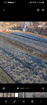 팜모닝 양파·영농일지 게시글 이미지