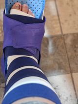 팜모닝 배추·영농일지 게시글 이미지