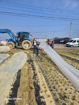 팜모닝 양파·영농일지 게시글 이미지