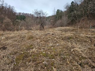 불기산님의 작성글 사진