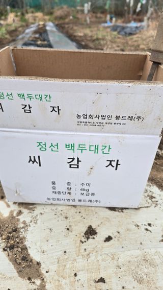 현금호님의 감자 · 영농일지 작성글 사진