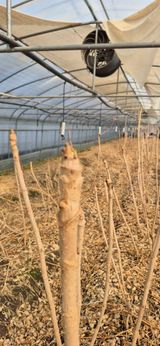 노오길님의 작성글 사진