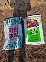 팜모닝 두릅·영농일지 게시글 이미지