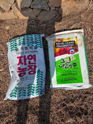 전찬우님의 작성글 사진