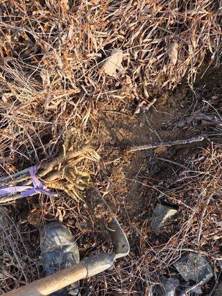 서성환님의 기타작물 · 영농일지 작성글 사진