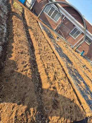 송명식님의 기타작물 · 영농일지 작성글 사진