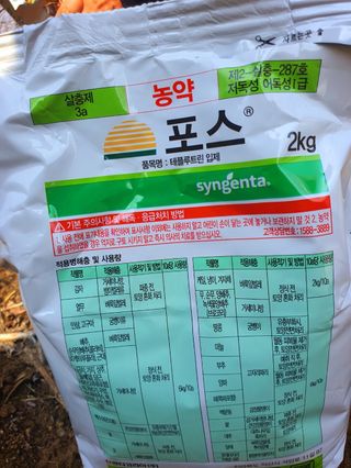 오이8898황산면님의 마늘 · 영농일지 작성글 사진