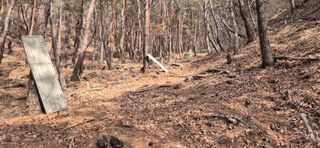 정진필님의 기타작물 · 영농일지 작성글 사진