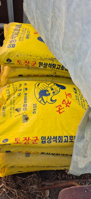 노오길님의 두릅 · 영농일지 작성글 사진