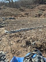 팜모닝 기타작물·영농일지 게시글 이미지