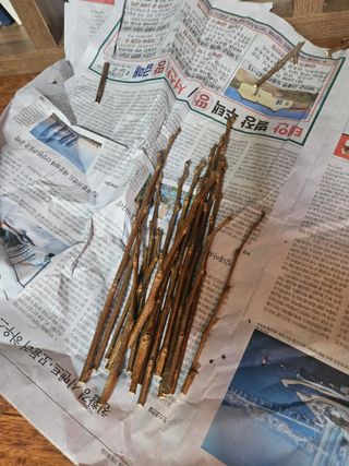 강화 산.해.감국님의 기타작물 · 영농일지 작성글 사진