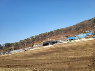 전선경님의 마늘 · 영농일지 작성글 사진