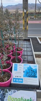 팜모닝 기타작물·영농일지 게시글 이미지