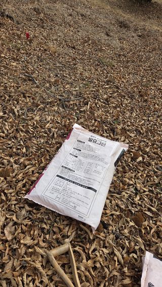 김연숙님의 기타작물 · 영농일지 작성글 사진