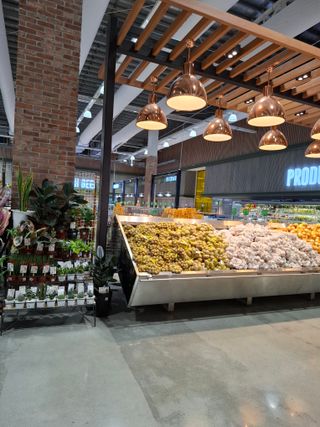 결단이님의 기타작물 · 영농일지 작성글 사진