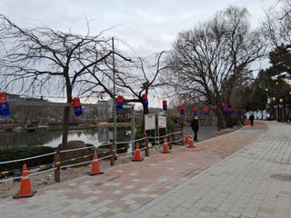 영수농원님의 기타작물 · 영농일지 작성글 사진