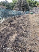 팜모닝 감자·영농일지 게시글 이미지