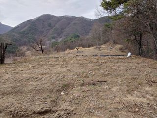 형남영님의 기타작물 · 영농일지 작성글 사진