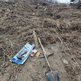 가로수님의 두릅 · 영농일지 작성글 사진