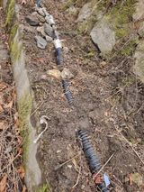 팜모닝 기타작물·영농일지 게시글 이미지