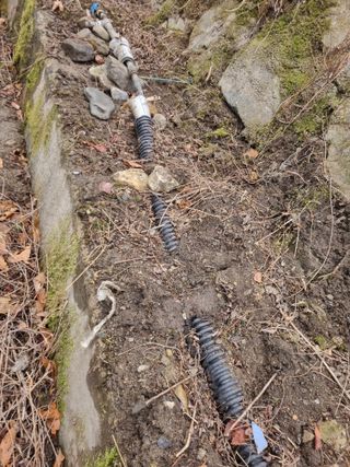 김용대님의 기타작물 · 영농일지 작성글 사진