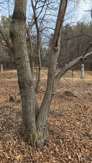 김연숙님의 기타작물 · 영농일지 작성글 사진