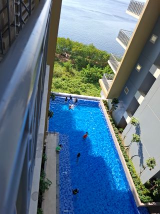 결단이님의 기타작물 · 영농일지 작성글 사진