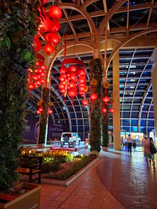 결단이님의 기타작물 · 영농일지 작성글 사진