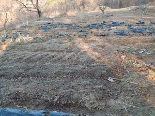 형남영님의 기타작물 · 영농일지 작성글 사진