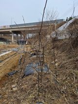 써니님의 작성글 사진