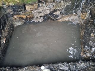 김용대님의 기타작물 · 영농일지 작성글 사진