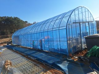 김용환님의 마늘 · 영농일지 작성글 사진