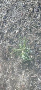 팜모닝 기타작물·영농일지 게시글 이미지