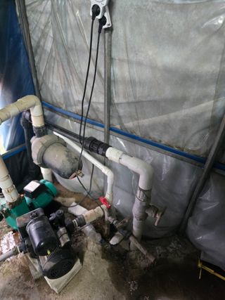 축복농장님의 기타작물 · 영농일지 작성글 사진