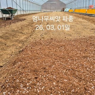 감자7437님의 기타작물 · 영농일지 작성글 사진