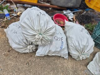 늘햇살팜 님의 딸기 · 영농일지 작성글 사진