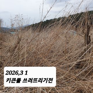 시민농장님의 기타작물 · 영농일지 작성글 사진