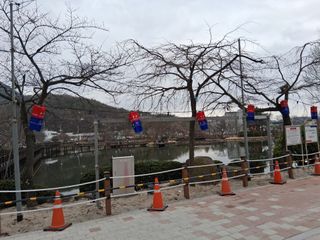 영수농원님의 기타작물 · 영농일지 작성글 사진