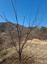 형남영님의 작성글 사진