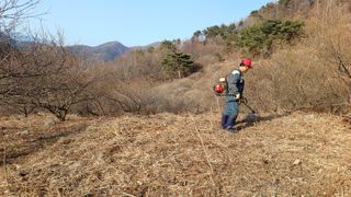 이순기님의 두릅 · 영농일지 작성글 사진