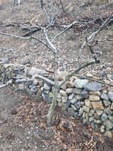 팜모닝 기타작물·영농일지 게시글 이미지